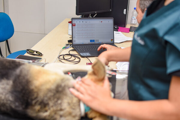 6-hospital-vet-ufape