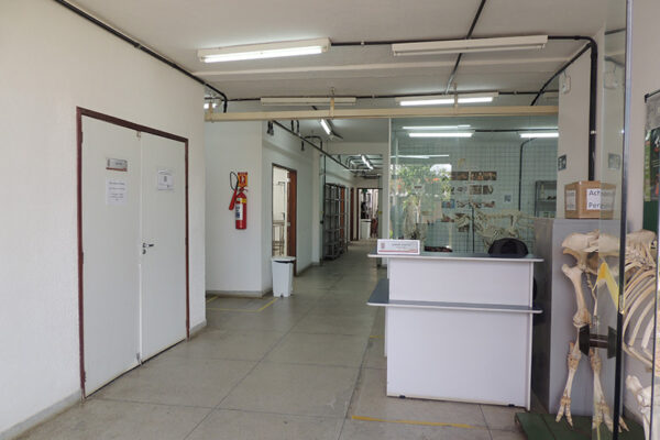 FOTO-2
