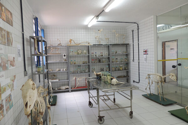 FOTO-6