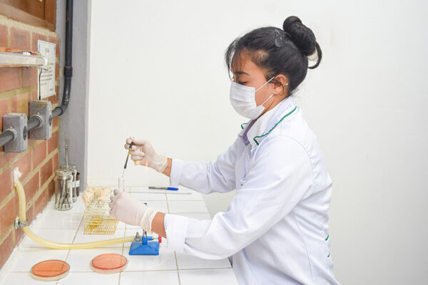 lab-ufape-0