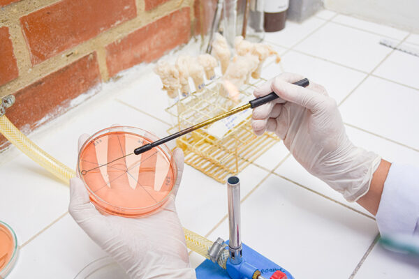 lab-ufape-5