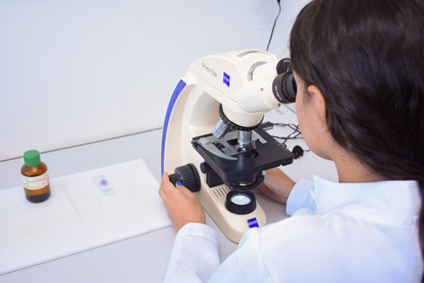 lab-ufape-6