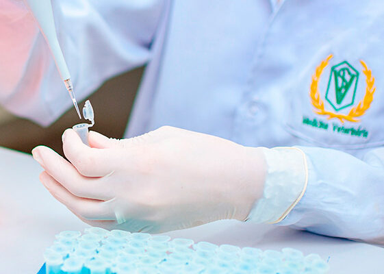 lab-ufape